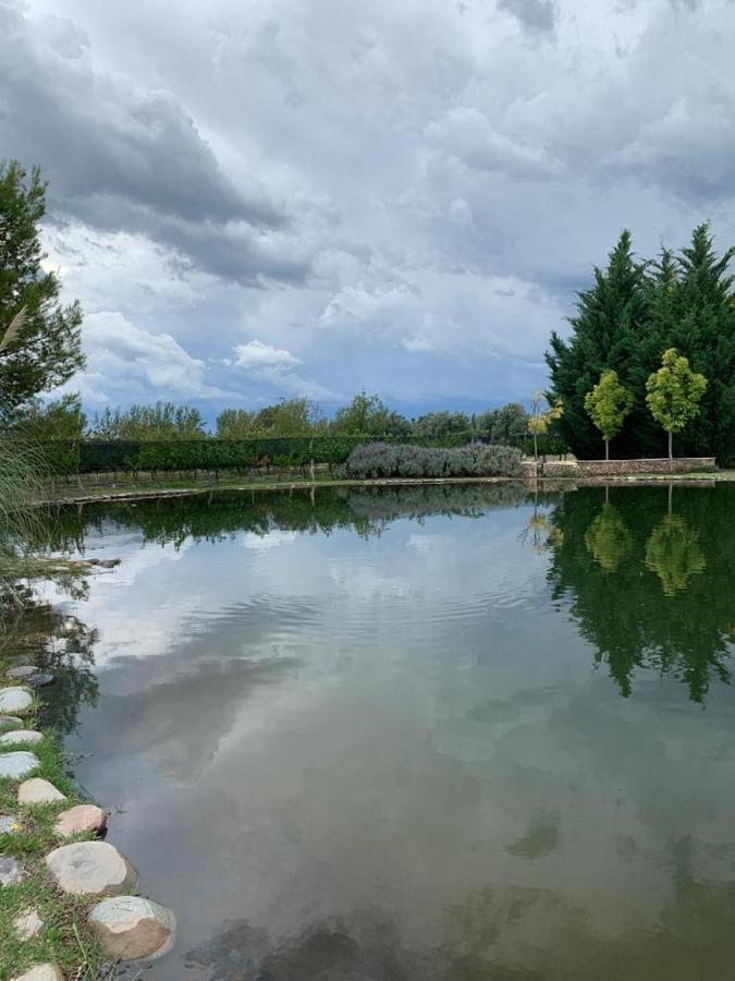 Chaglasian Wine & Suites San Rafael Dış mekan fotoğraf