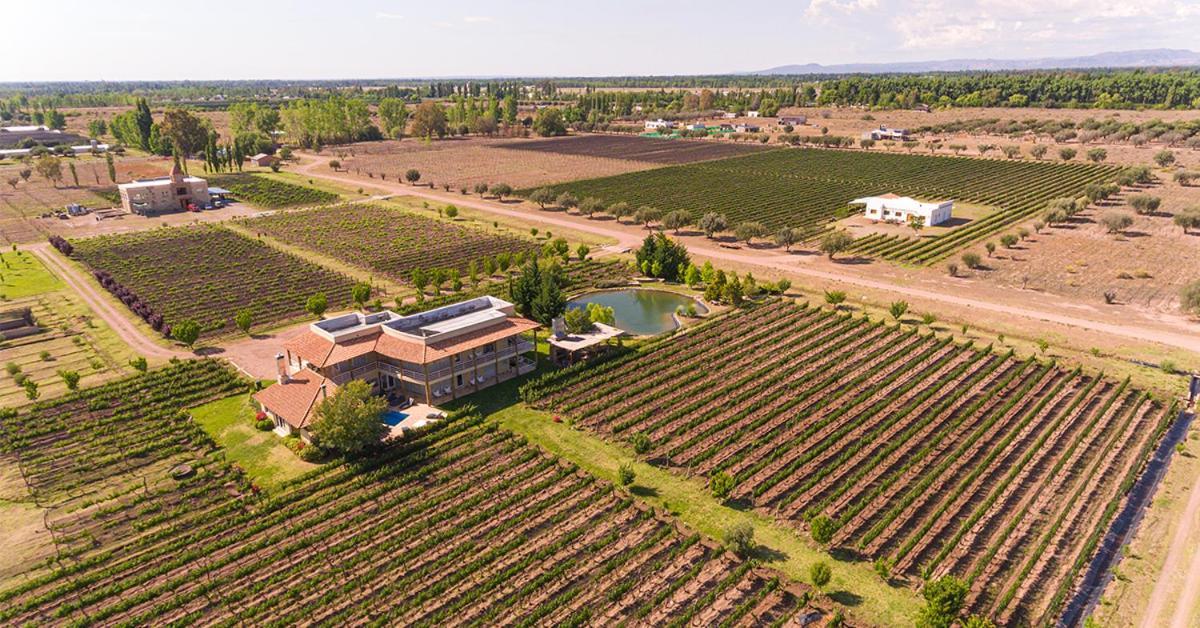 Chaglasian Wine & Suites San Rafael Dış mekan fotoğraf