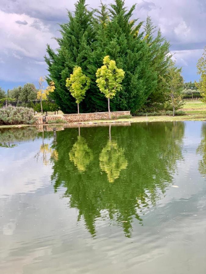 Chaglasian Wine & Suites San Rafael Dış mekan fotoğraf