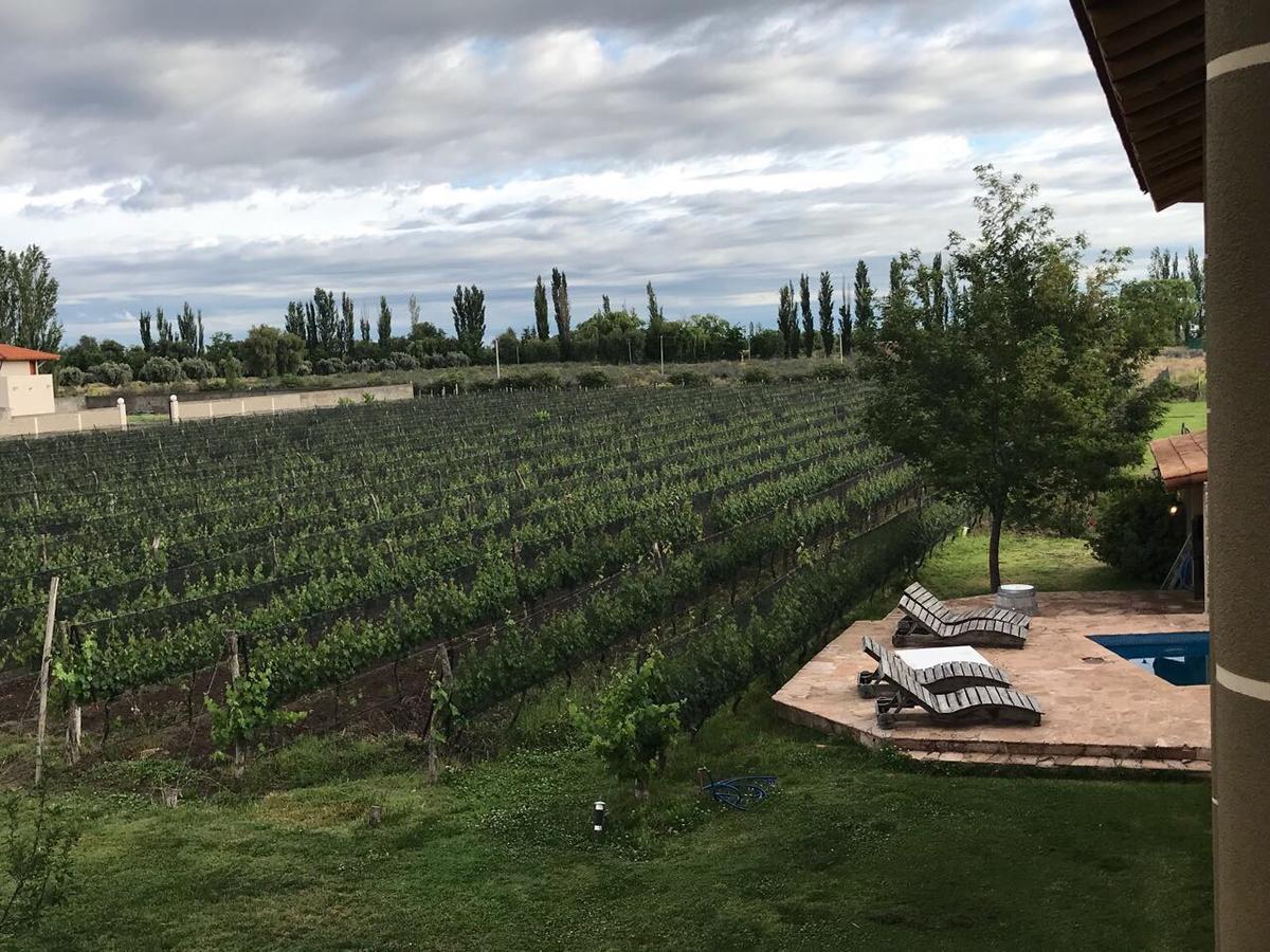 Chaglasian Wine & Suites San Rafael Dış mekan fotoğraf